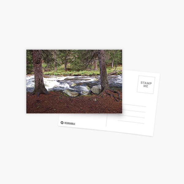 Beside the Clear Creek Postcard