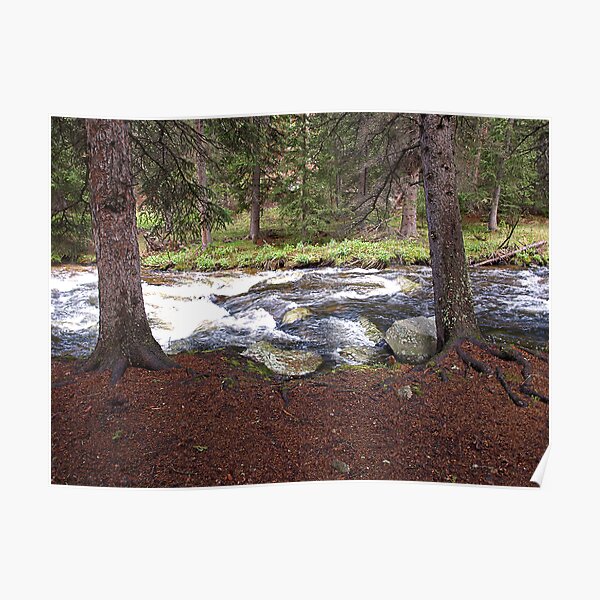 Beside the Clear Creek Poster