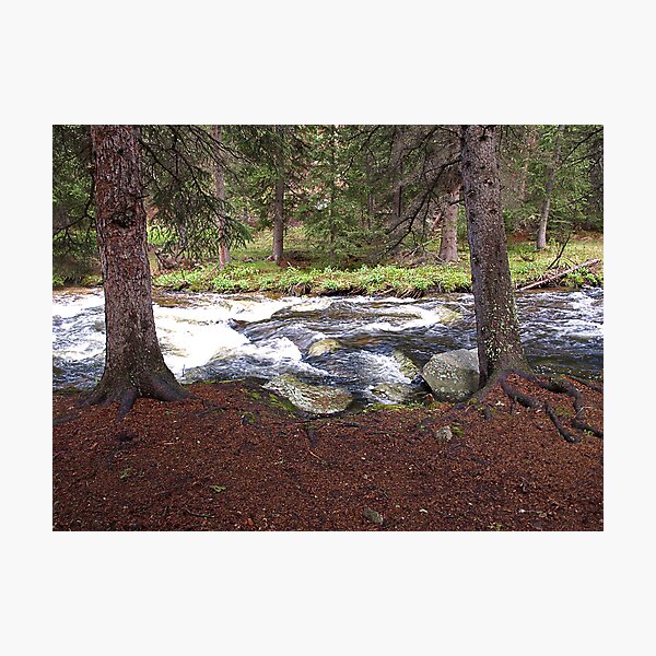 Beside the Clear Creek Photographic Print