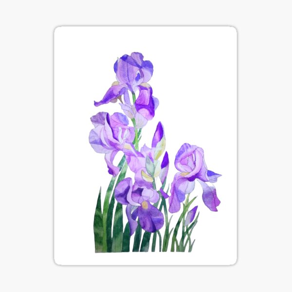 Item preview, Bright Watercolour purple irises.  designed and sold by esvb.