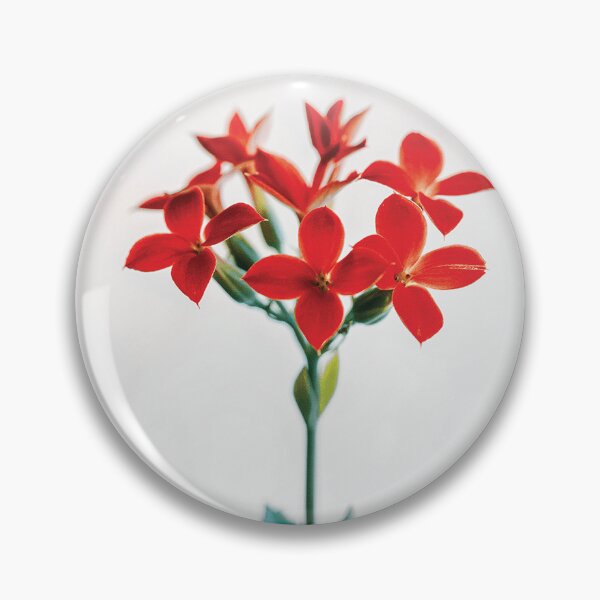 Item preview, Kalanchoe Flowers designed and sold by HectorCantres.
