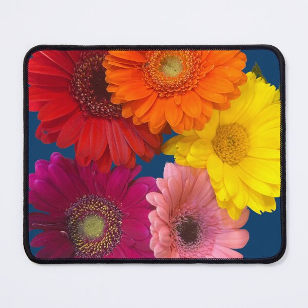 Item preview, Rainbow daisies designed and sold by Lauracolleen3.