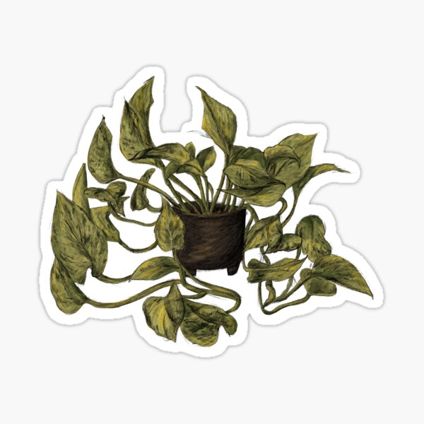 Item preview, Golden Pothos designed and sold by abbygdraws.
