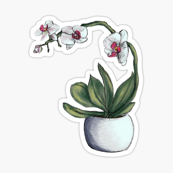 Item preview, Orchid designed and sold by abbygdraws.