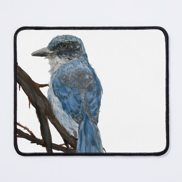 Item preview, Island scrub jay designed and sold by Preening-Prints.