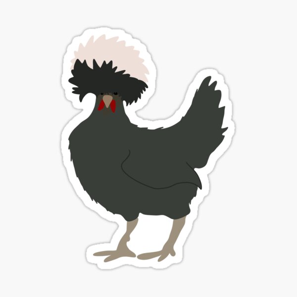 Aperçu de l'œuvre Poulet frisé polonais créée et vendue par Florescence Holistic .