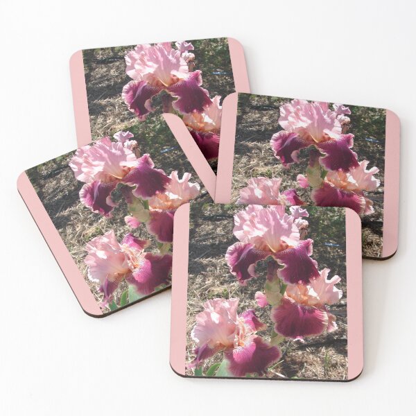 Item preview, Pink Iris Flower Maroon Glowing In The Sun - Splendida designed and sold by Sarah  Rajkotwala.