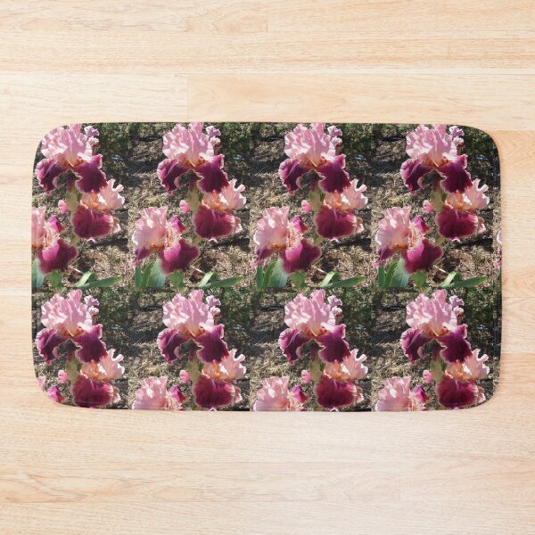 Item preview, Pink Iris Flower Maroon Glowing In The Sun - Splendida designed and sold by Sarah  Rajkotwala.