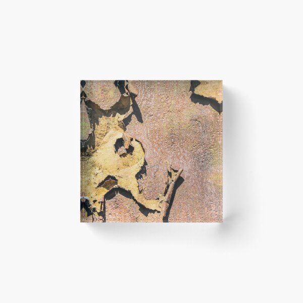 Item preview, tin and rust. designed and sold by Nino rocha fotografia.