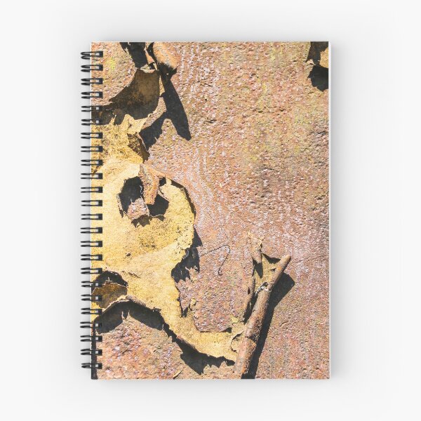 Item preview, tin and rust. designed and sold by Nino rocha fotografia.