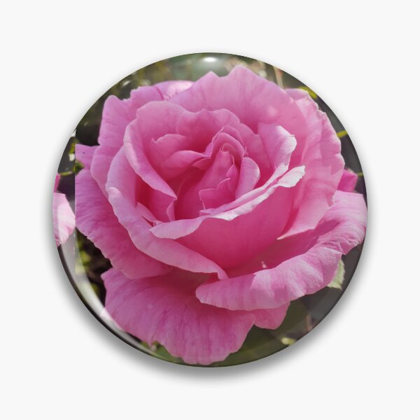 Item preview, Pink Rose Flower Perfume Delight designed and sold by Sarah  Rajkotwala.