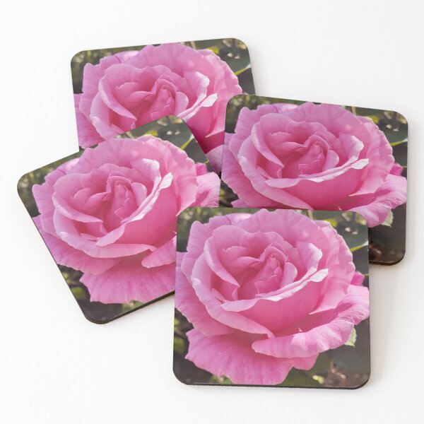 Item preview, Pink Rose Flower Perfume Delight designed and sold by Sarah  Rajkotwala.