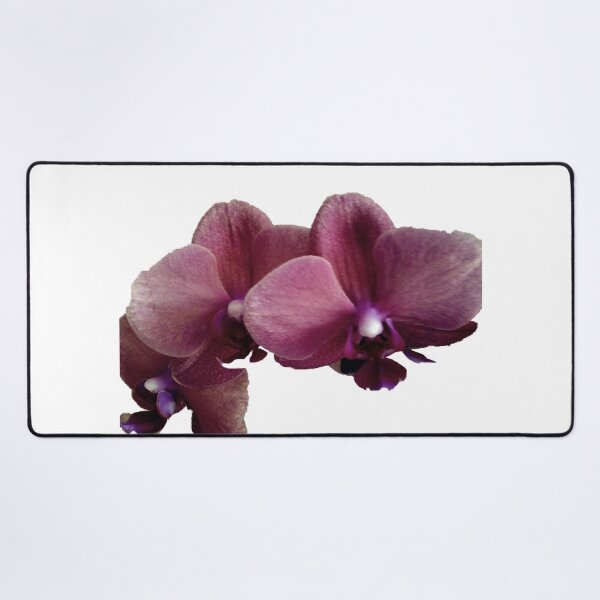 Item preview, THE BEAUTY OF THE ORCHID designed and sold by JoAnnHayden.
