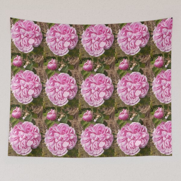 Item preview, Pink Vintage Rose Flower Cabbage - Sidonea designed and sold by Sarah  Rajkotwala.
