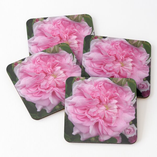 Item preview, Pink Vintage Rose Photo - Ispahan designed and sold by Sarah  Rajkotwala.