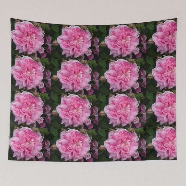 Item preview, Pink Vintage Rose Photo - Ispahan designed and sold by Sarah  Rajkotwala.