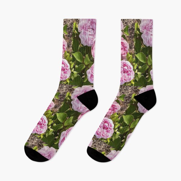 Item preview, Pink Vintage Rose Flower Cabbage - Jaques Cartier designed and sold by Sarah  Rajkotwala.