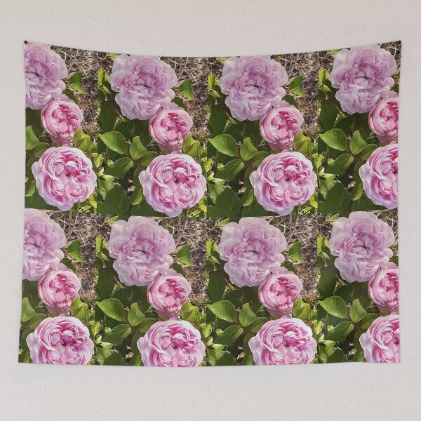 Item preview, Pink Vintage Rose Flower Cabbage - Jaques Cartier designed and sold by Sarah  Rajkotwala.