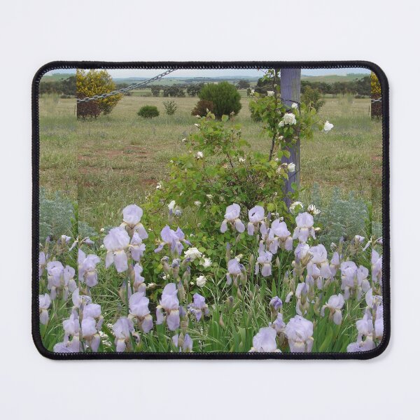 Item preview, Lavender Blue Iris Flower and Climbing White Roses Garden designed and sold by Sarah  Rajkotwala.