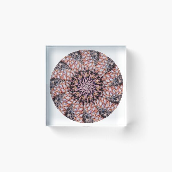 Item preview, Multicolored Pinecones KaleidoBioscope 23 designed and sold by Kaleidobioscope.