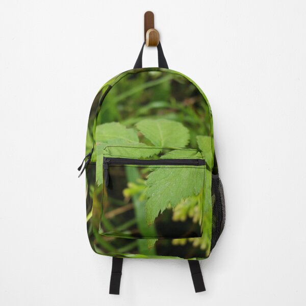 Item preview, Evergreen shrub with Fresh green leaves designed and sold by Yusuf-Design.