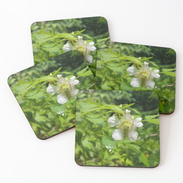 Item preview, Goldenrod spider on Rubus rosifolius flower designed and sold by Yusuf-Design.
