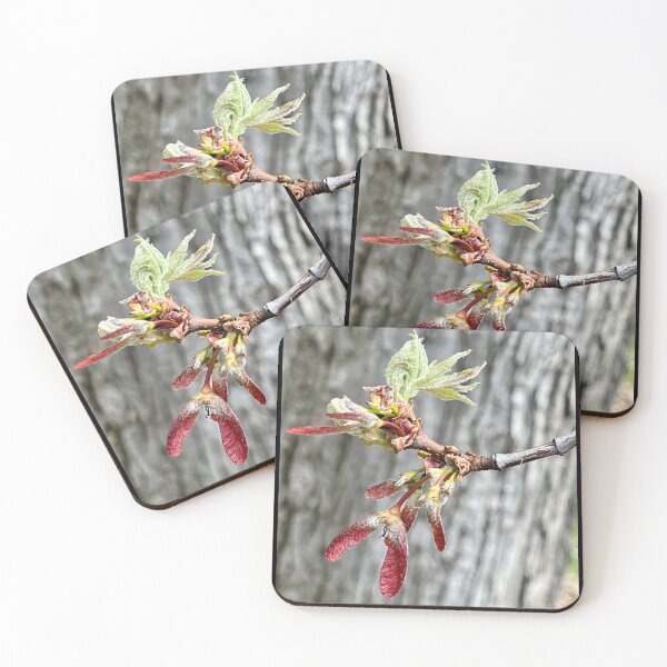 Item preview, Everyday Magic designed and sold by Lana Magnolia.