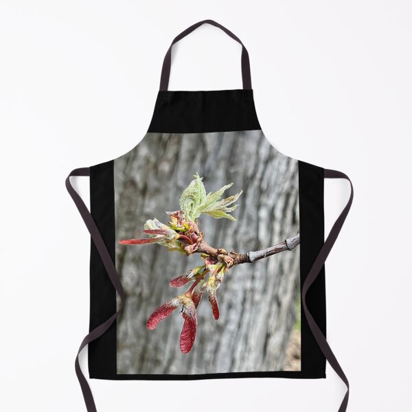 Item preview, Everyday Magic designed and sold by Lana Magnolia.