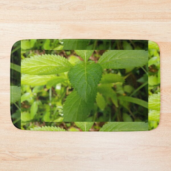 Item preview, Fresh leaves Perfect for Nature Lovers who love plant designed and sold by Yusuf-Design.