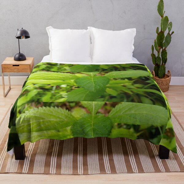 Item preview, Fresh leaves Perfect for Nature Lovers who love plant designed and sold by Yusuf-Design.