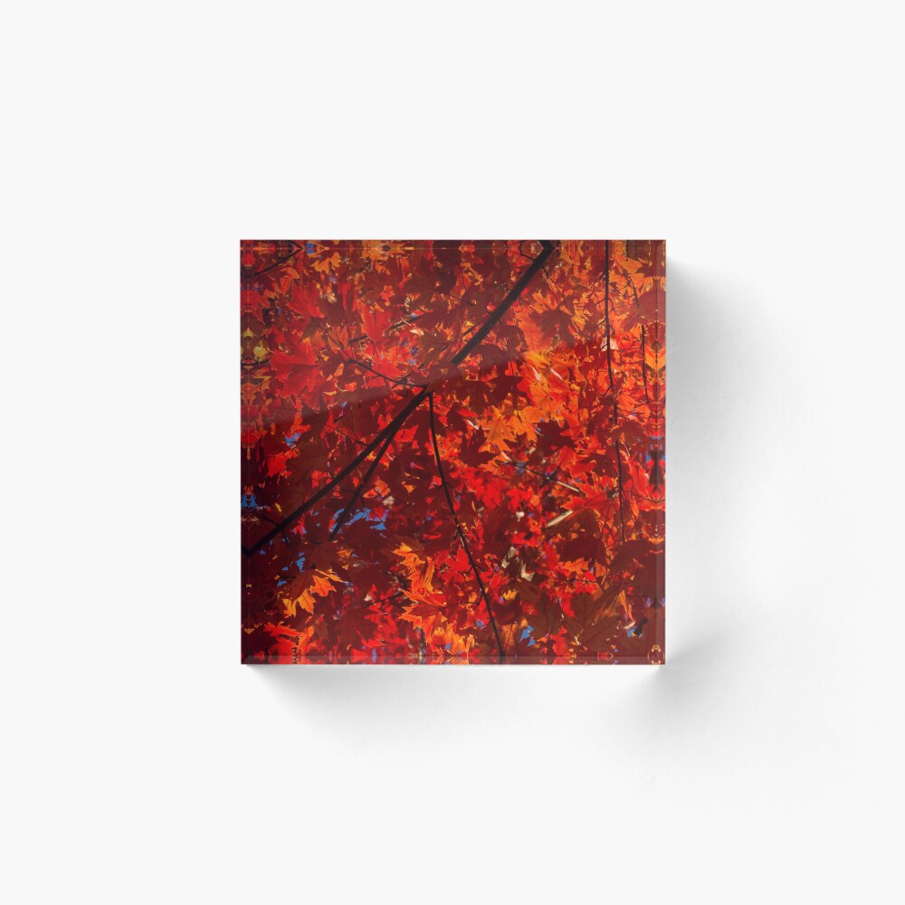 Item preview, Acrylic Block designed and sold by GeorgiaM.