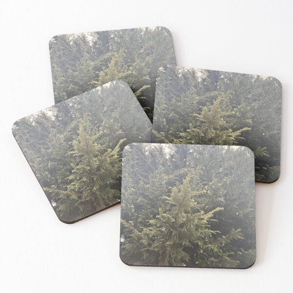 Item preview, Evergreen tree in the rain designed and sold by awendaur80.