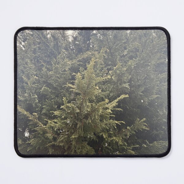 Item preview, Evergreen tree in the rain designed and sold by awendaur80.