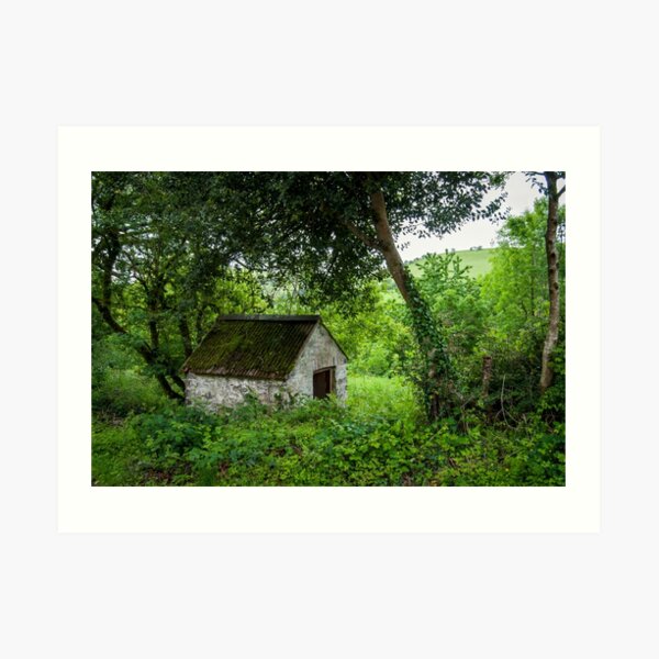 Ty Bach II Art Print