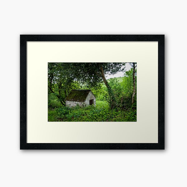 Ty Bach II Framed Art Print