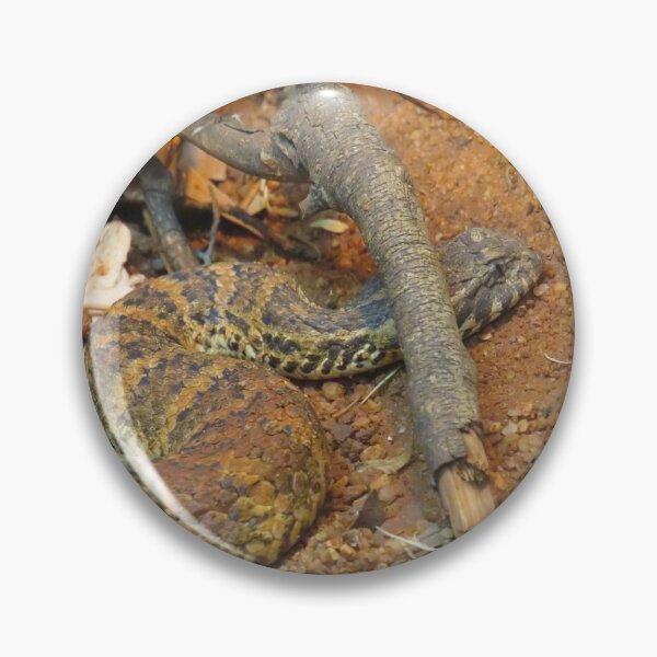 Item preview, Death adder designed and sold by greentiger1.