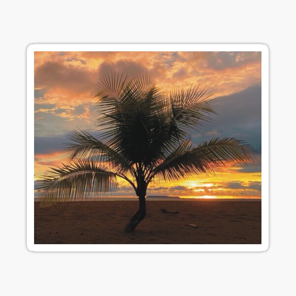 Item preview, Cano Island Sunset designed and sold by Catherine Harrison.