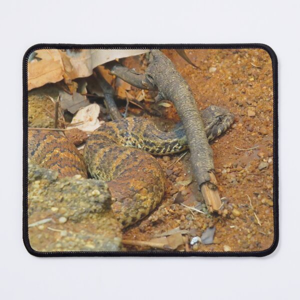 Item preview, Death adder designed and sold by greentiger1.