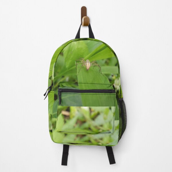 Item preview, Striped lynx spider (Oxyopidae) on a leaf designed and sold by Yusuf-Design.