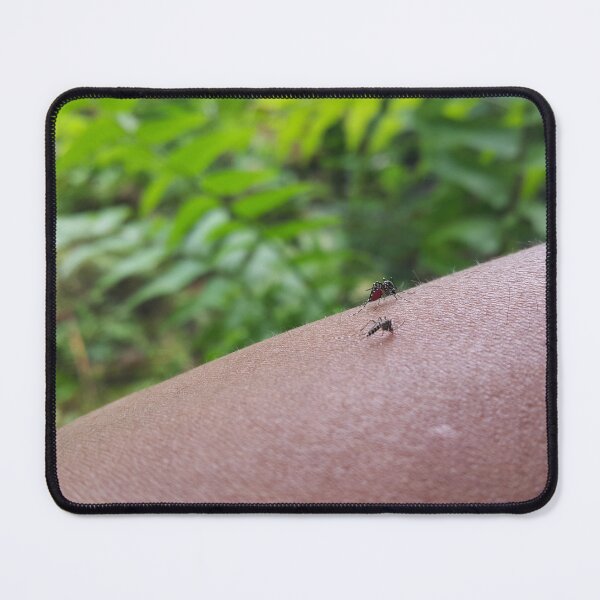 Item preview, Mosquito sucks blood on the hand until its belly is red designed and sold by Yusuf-Design.