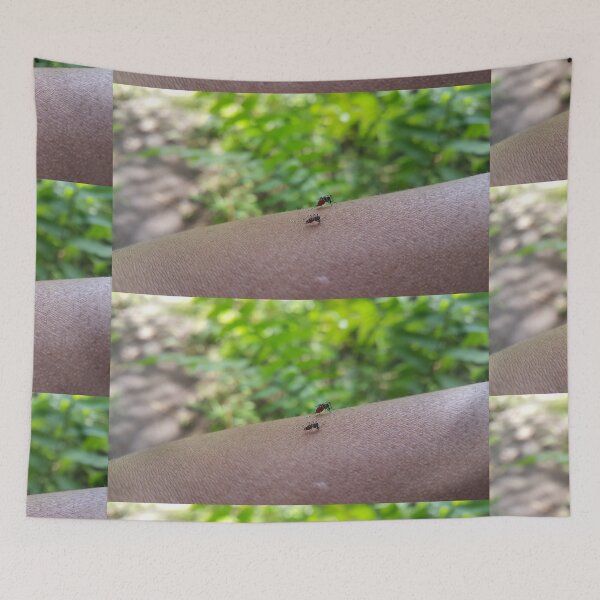 Item preview, Two Mosquitoes sucking blood on the hand until their stomachs are red. designed and sold by Yusuf-Design.