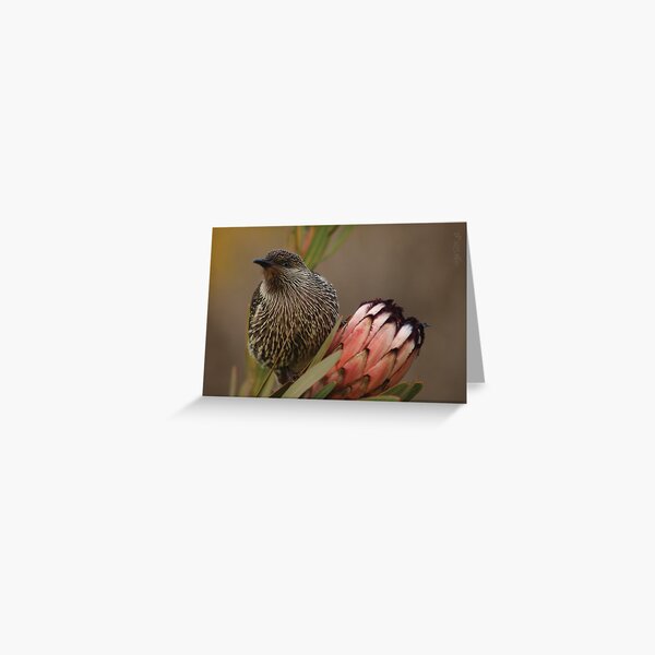 you've caught my eye Greeting Card