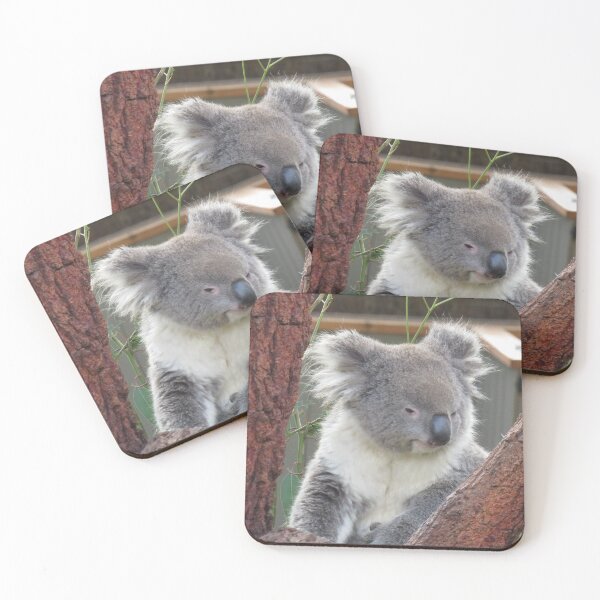 Item preview, Koala in a tree designed and sold by greentiger1.