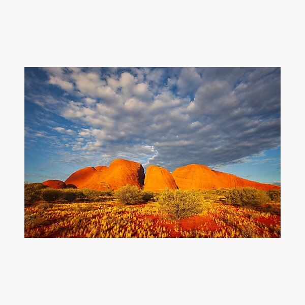 Photographic Print
