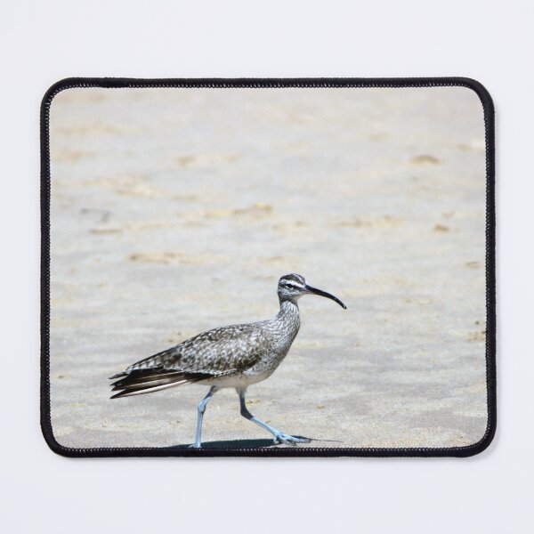 Item preview, Crystal Cove State Park  designed and sold by supernova23.