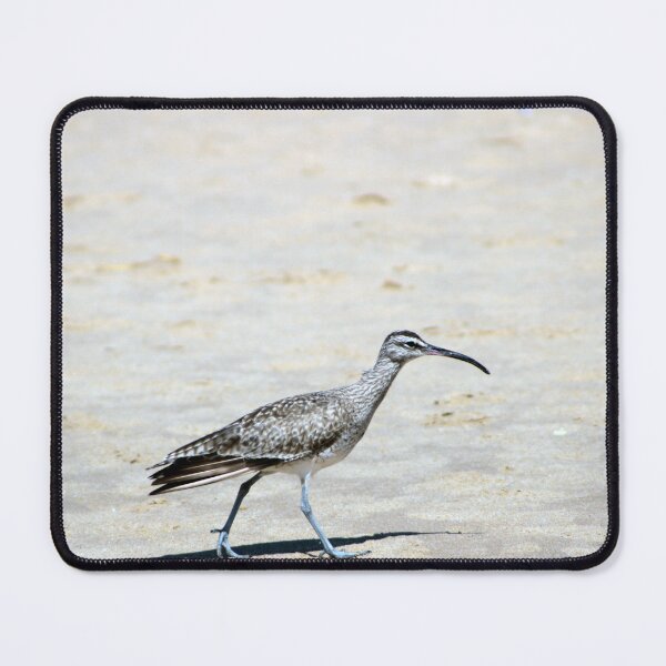 Item preview, Crystal Cove State Park designed and sold by supernova23.