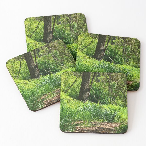 Item preview, Sunlight filters through a dense forest designed and sold by InezPhotography.
