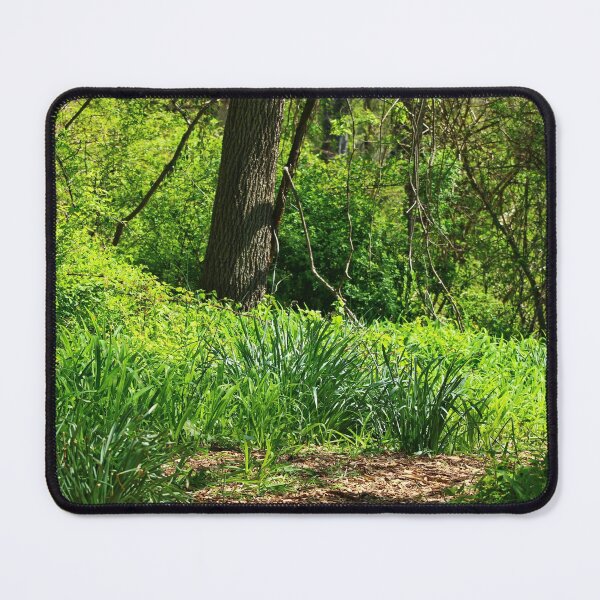 Item preview, Sunlight filters through a dense forest designed and sold by InezPhotography.