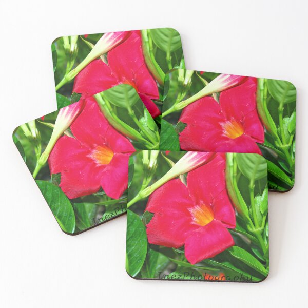 Item preview, vibrant red flower designed and sold by InezPhotography.