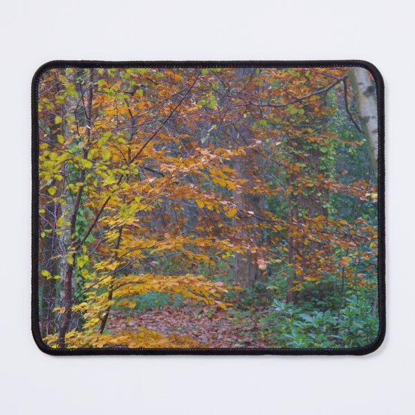 Item preview, Autumn Trees In Parkland designed and sold by lezvee.